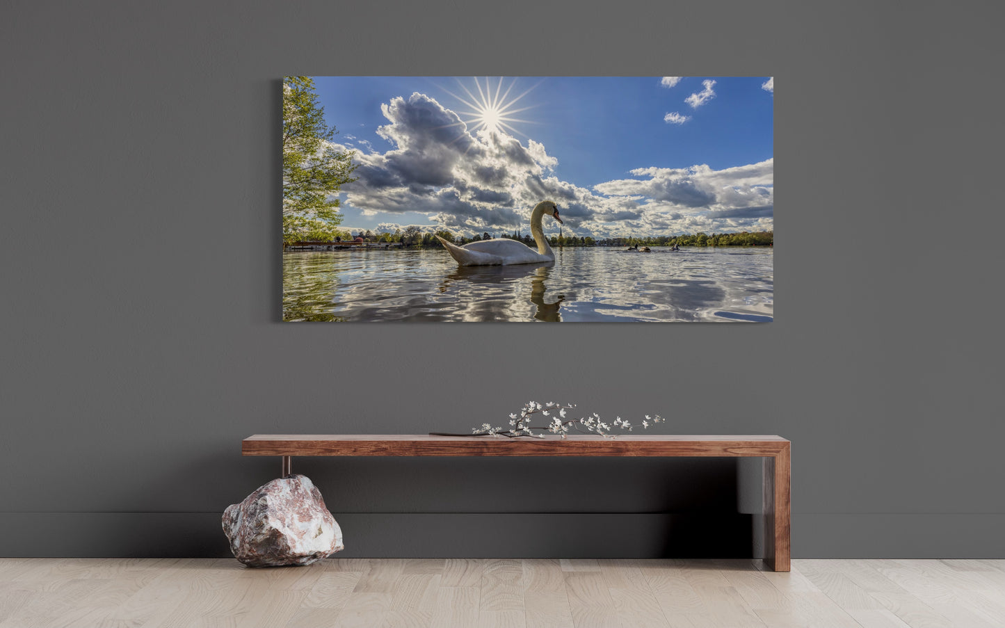 Lübeck - Schwan auf dem See