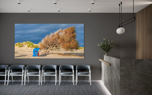 Der berühmte Baum am Nordstrand  - Insel Borkum ( 2020 )