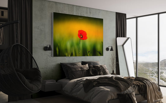 Leinwand, Poster, Acryl-Glas,Alu-Dibond,ticufotografie,constantinticufotograf,lübeck