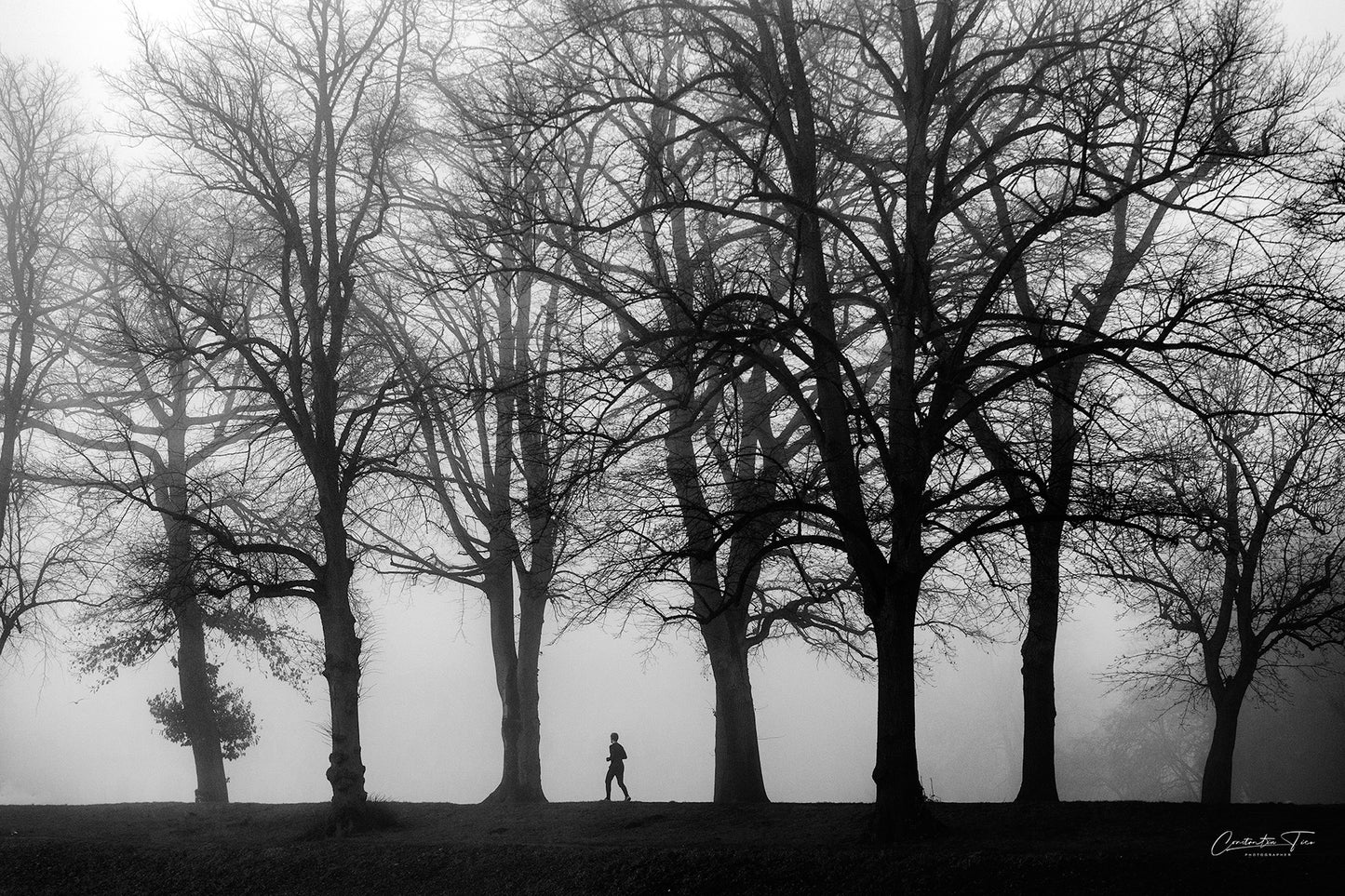 Fine Art Fotografie - Echos im Nebel