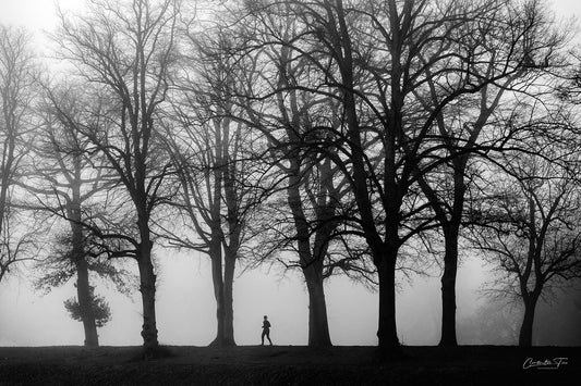 Fine Art Fotografie - Echos im Nebel