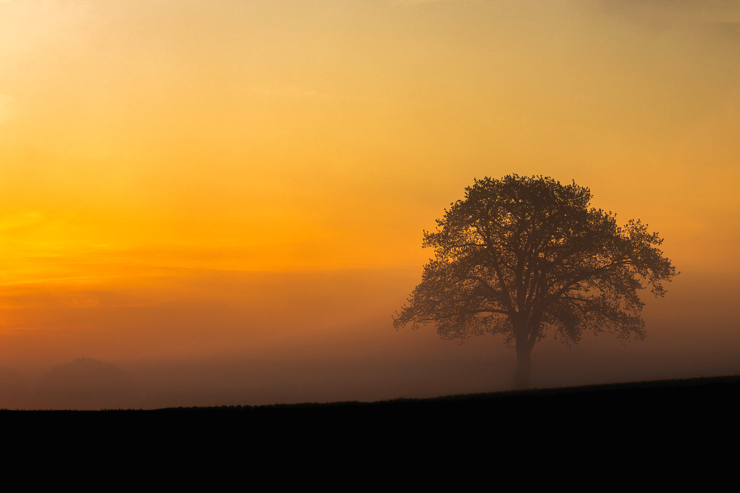 Lübeck – Am Rand von Lübeck – Morgendämmerung