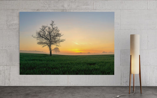 Sonnenaufgang Groß Parin, Landschaftsfotografie Lübeck, Morgennebel Schleswig-Holstein, Baum im Morgenlicht, Fine Art Fotografie, Naturbild Wandbild, Sonnenaufgang Norddeutschland, Landschaftsbild kaufen, Wanddekoration Natur, Constantin Ticu Fotografie