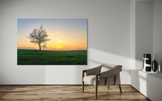 Sonnenaufgang Groß Parin, Landschaftsfotografie Lübeck, Morgennebel Schleswig-Holstein, Baum im Morgenlicht, Fine Art Fotografie, Naturbild Wandbild, Sonnenaufgang Norddeutschland, Landschaftsbild kaufen, Wanddekoration Natur, Constantin Ticu Fotografie