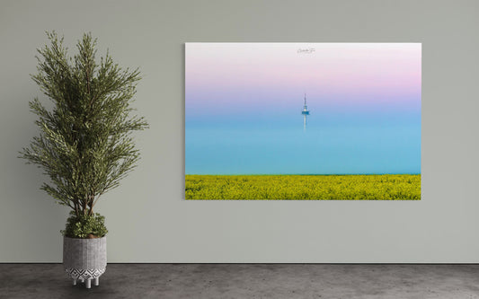 Nebel bei Lübeck, Sonnenaufgang Schleswig-Holstein, Groß Parin, Rapsfeld, Turm im Nebel, Landschaftsfotografie, Fine Art Fotografie, minimalistische Fotografie, Wandbild Natur, Morgenstimmung, Norddeutschland, Constantin Ticu Fotografie.
